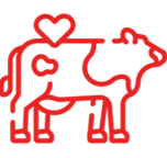 Bien-être animal
