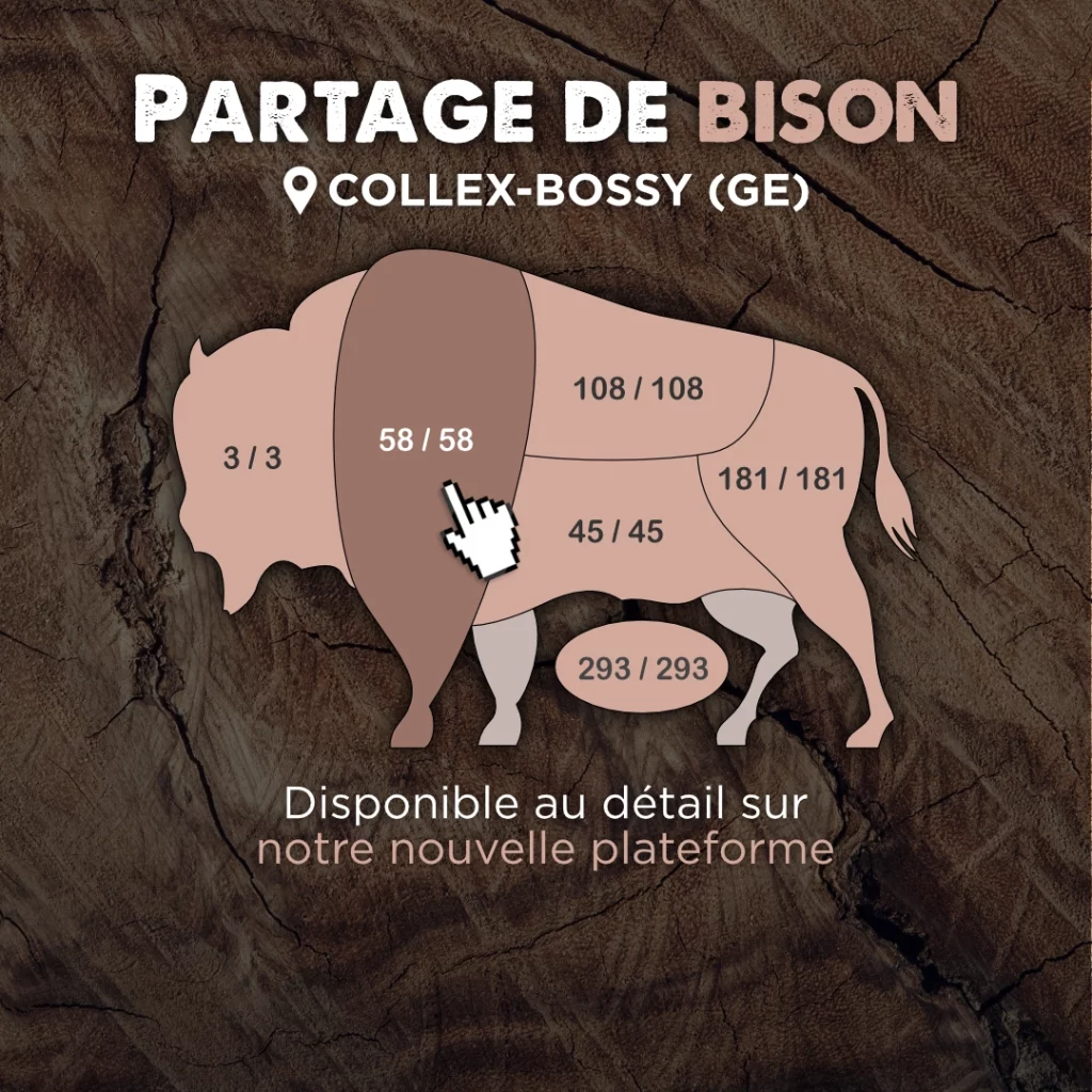 popup-bison