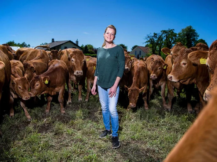 laura-moser-gingins-boeuf